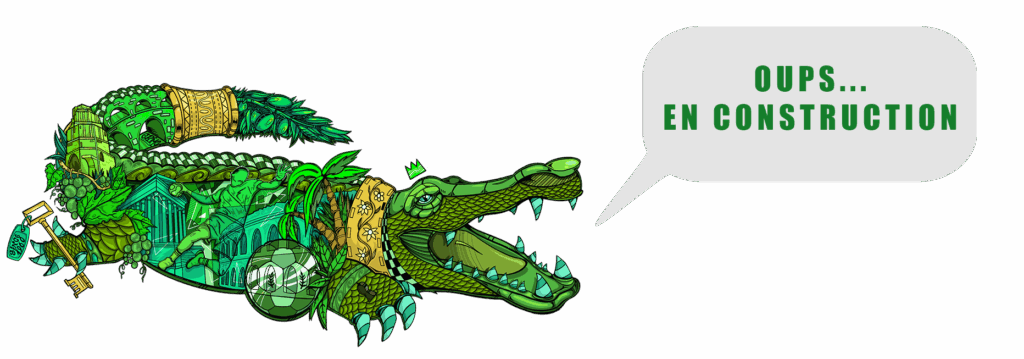 USAM Nîmes Gard - en construction